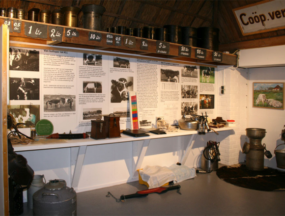 rundveehouderij