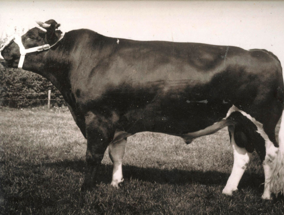 Tonias-Adema-17-geboren-1968
